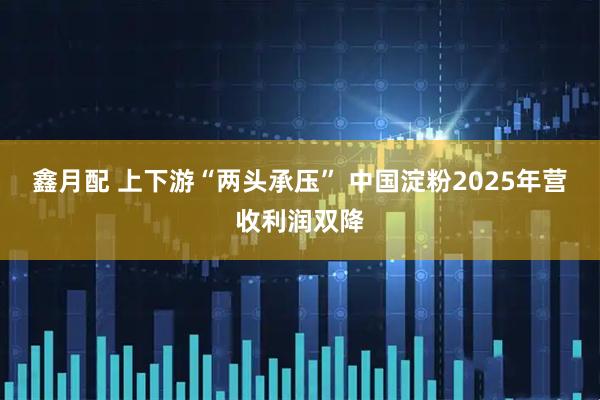 鑫月配 上下游“两头承压” 中国淀粉2025年营收利润双降