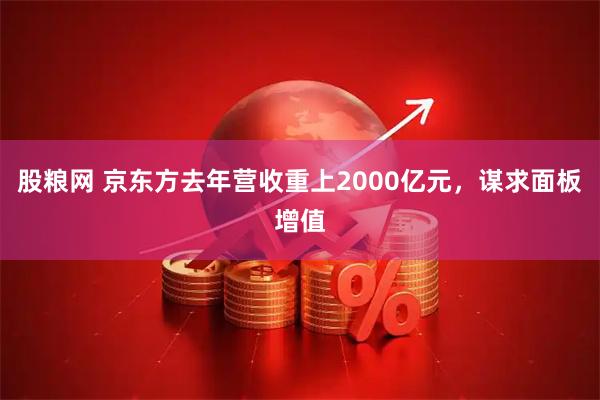 股粮网 京东方去年营收重上2000亿元，谋求面板增值