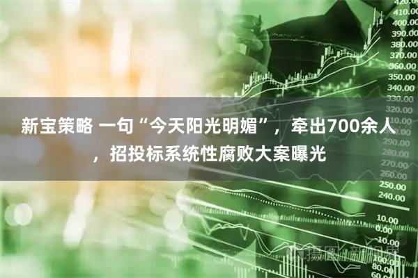 新宝策略 一句“今天阳光明媚”，牵出700余人，招投标系统性腐败大案曝光
