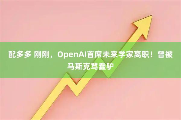 配多多 刚刚，OpenAI首席未来学家离职！曾被马斯克骂蠢驴